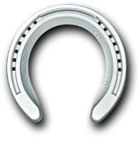 Victory Elite Flat                                        